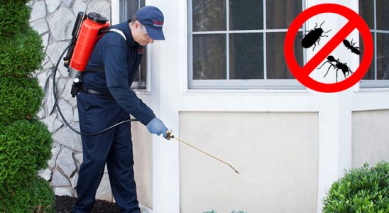 Yenişarbademli Akrep İlaçlama böcek ilaçlama ve haşere kontrolü — ilaclama-tr.com
